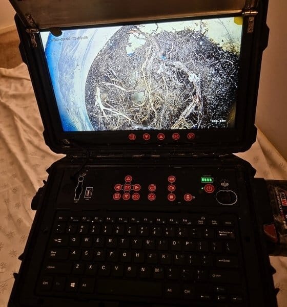 A clear image captured by a Razorback Drain Camera showing tree roots blocking a drain.